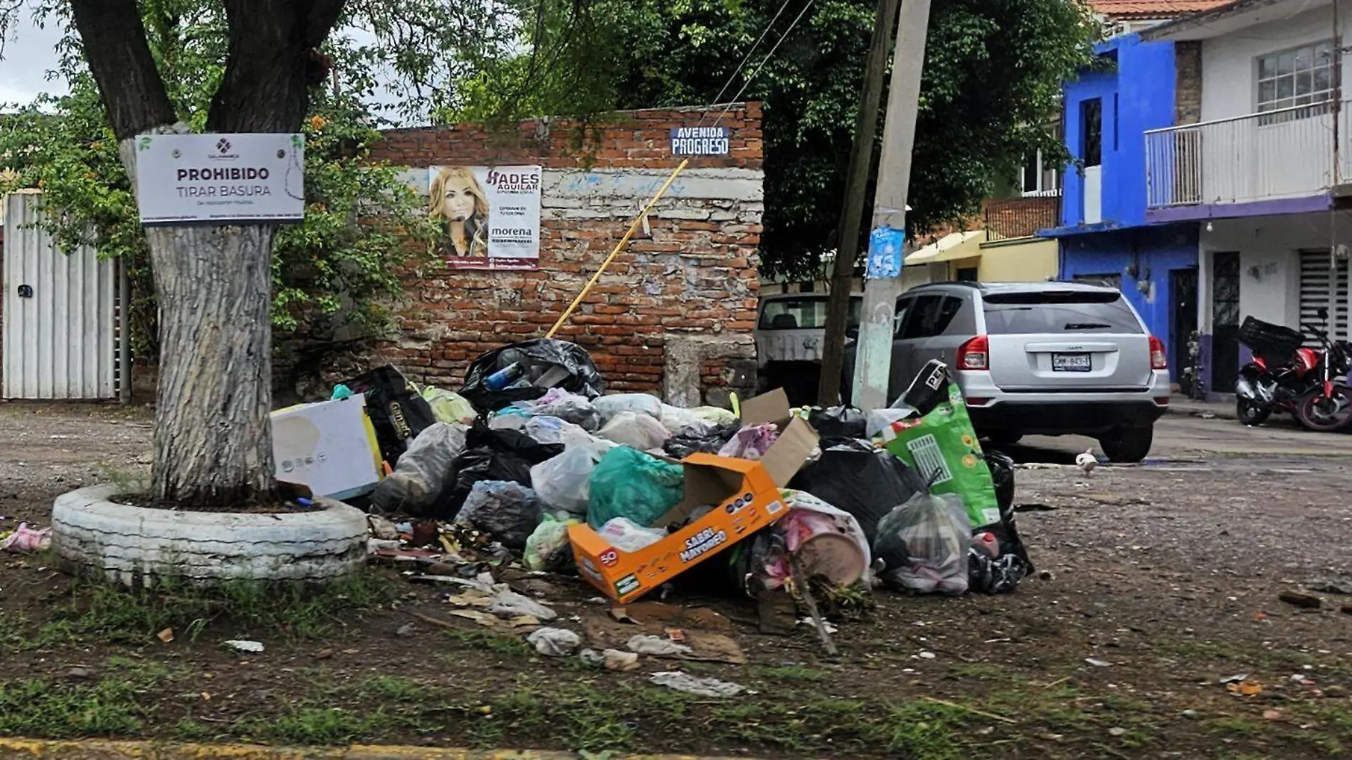 basura (1)